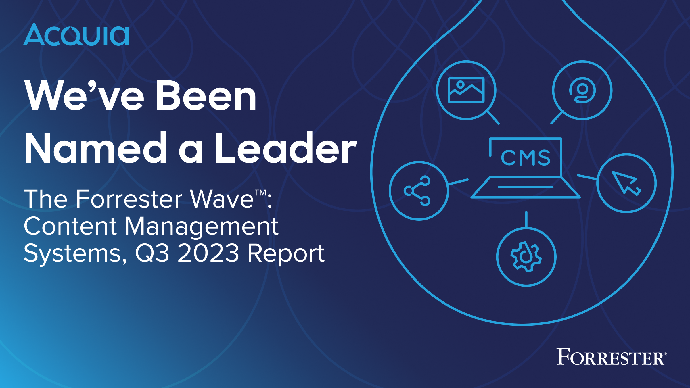 Forrester Names Acquia a Leader in CMS Report | Acquia