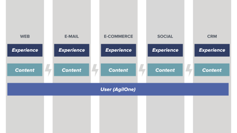 Diagram shows how user data is unified with AgilOne across different platforms listed vertically including web, email marketing, ecommerce, social media, and CRM. [image acquia/dxp-shared-user-data]