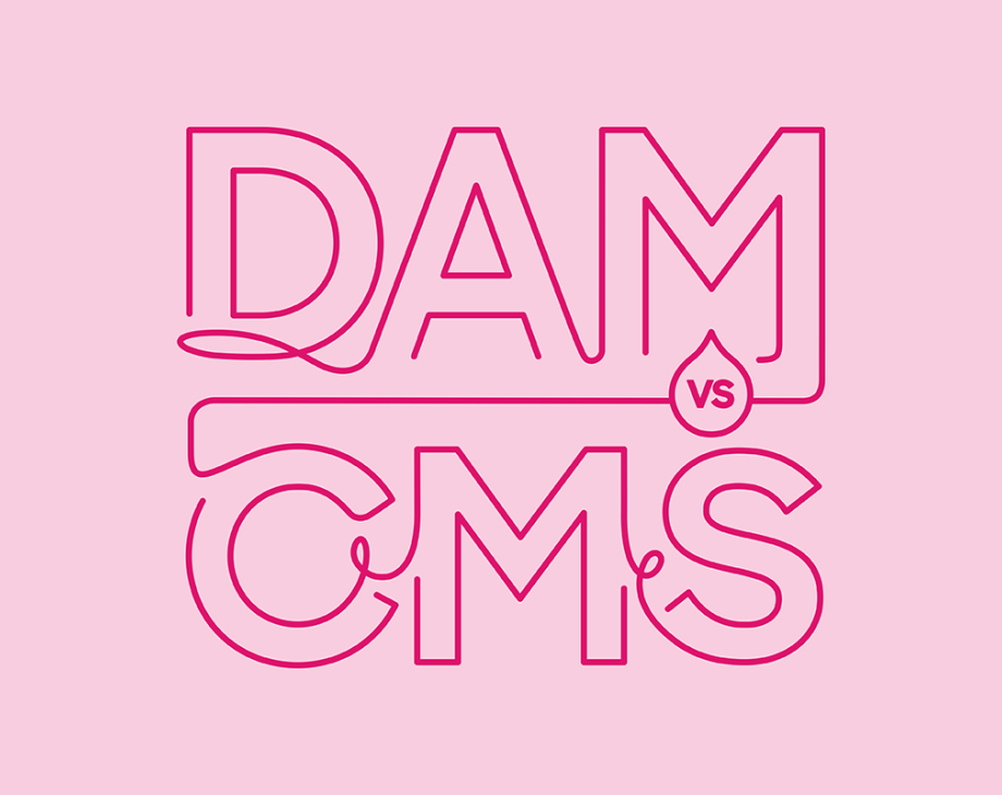 Blog header image: Understanding DAM vs. CMS article