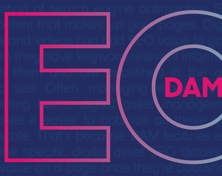 Blog header image: What Really Matters When It Comes To DAM and SEO article.