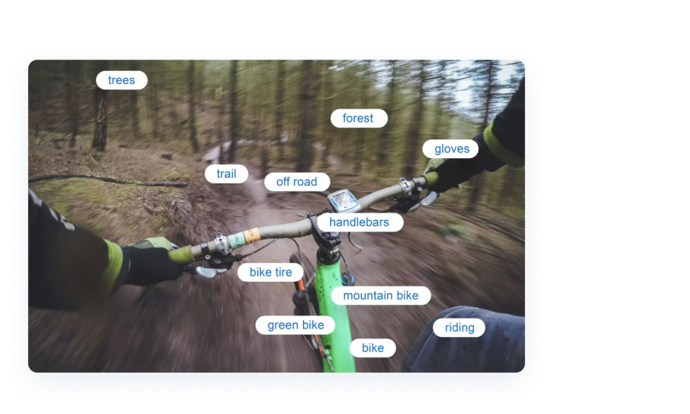 image of someone riding a mountain bike with various tags on the image
